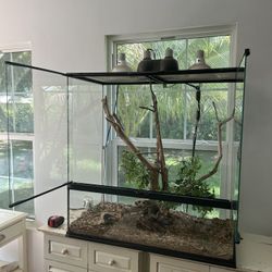 Reptile Enclosure 
