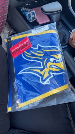 CSUB Flag/Banner