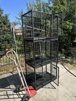 3 Tier Profesional Parrot Or Dog Kennels 