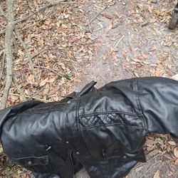 Leather Coat