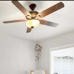 Ceiling Fan With Light