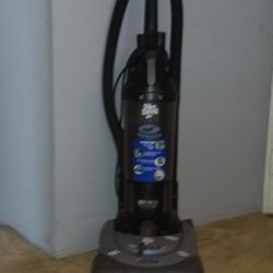 Bagless vacuum 