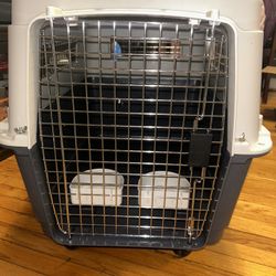 Large IATA Dog Kennel 