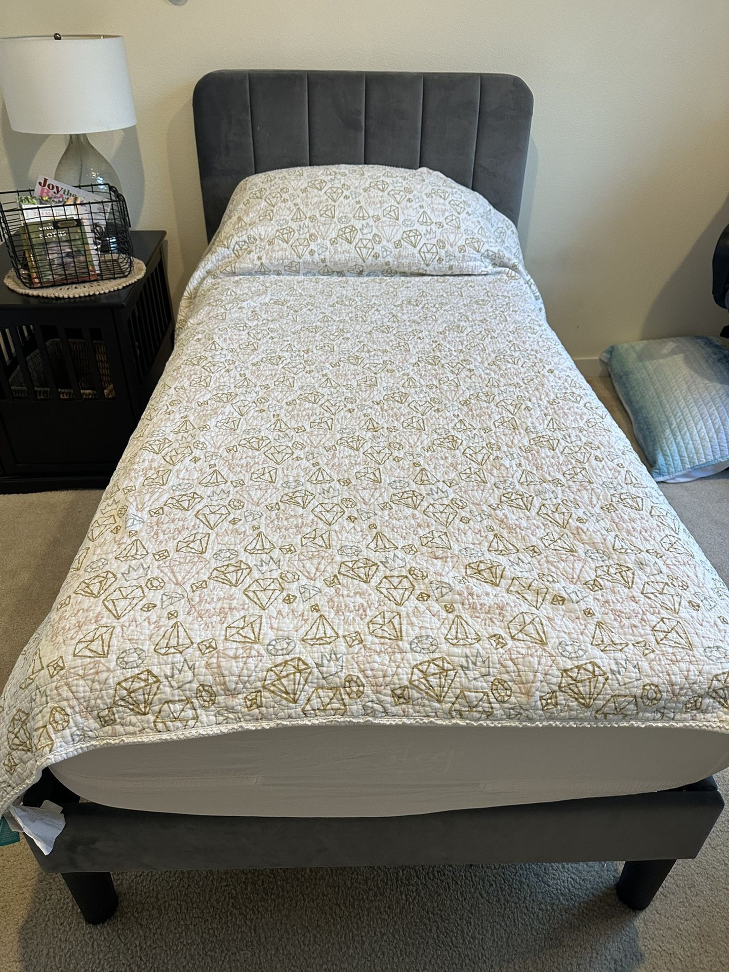 2 Twin Size Bed Frames And 1 Mattress