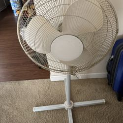 Fan