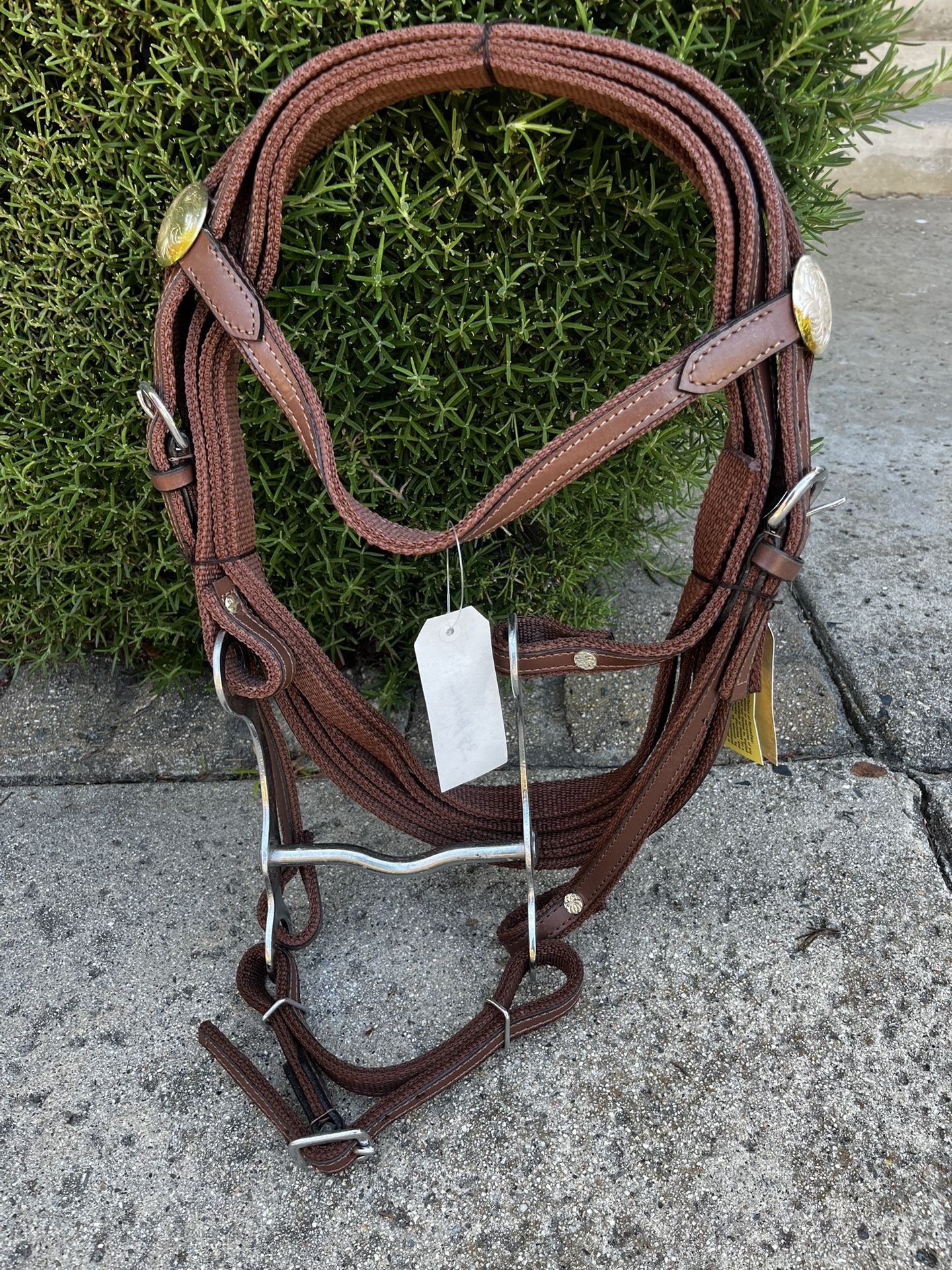 Western Bridle