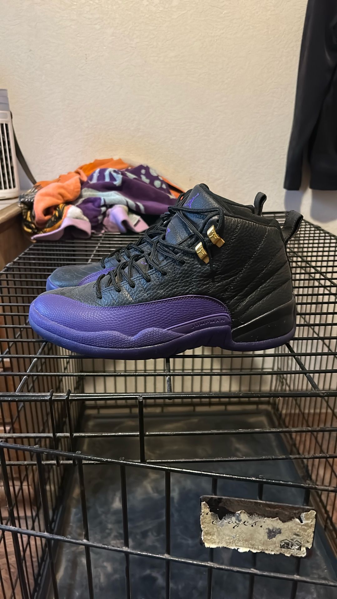 Jordan 12 Retro