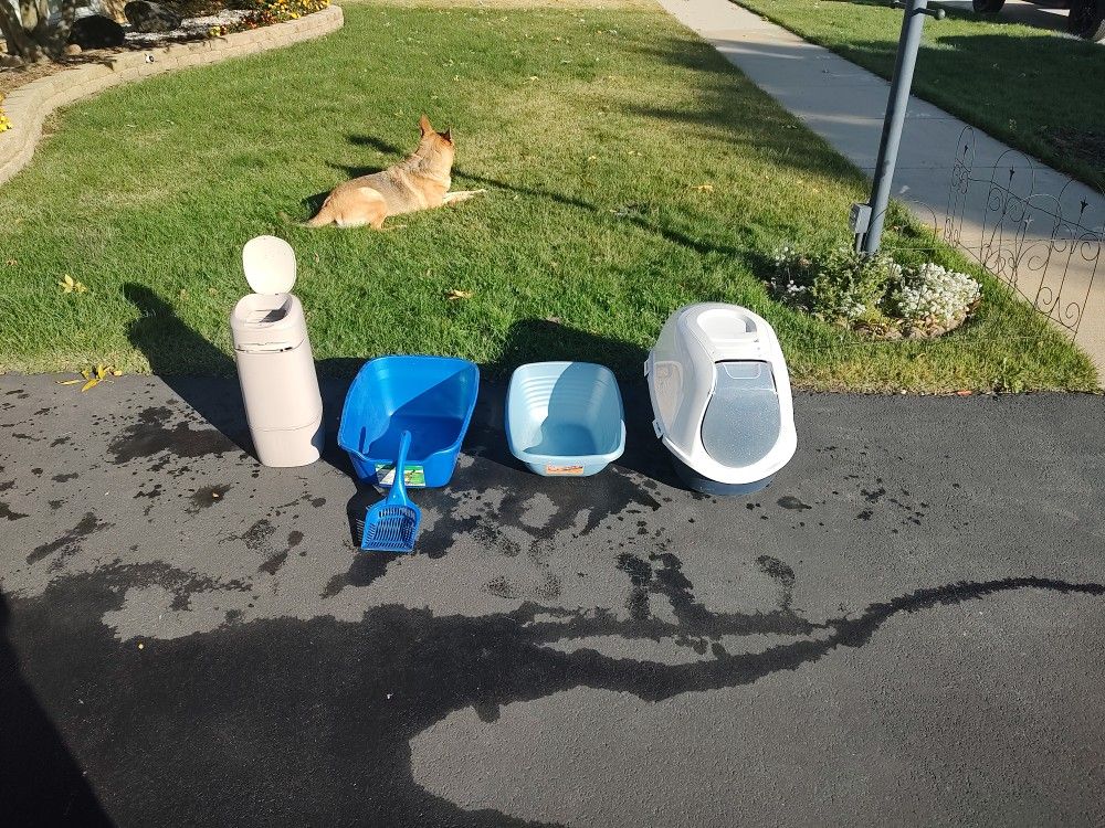 Litter Boxes And Kitty Litter