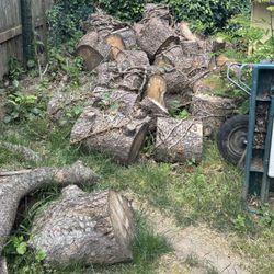 Firewood 