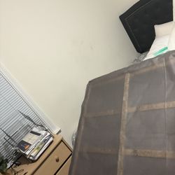 Twin Bed Fram Boxspring , You Can Have The Mattress For Free 