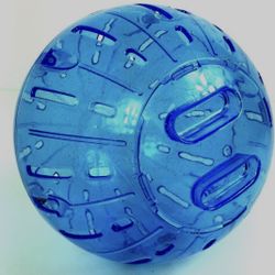 Blue Hamster Ball 