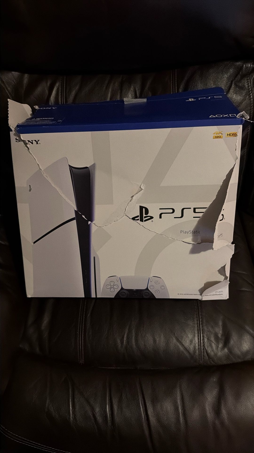 pS5