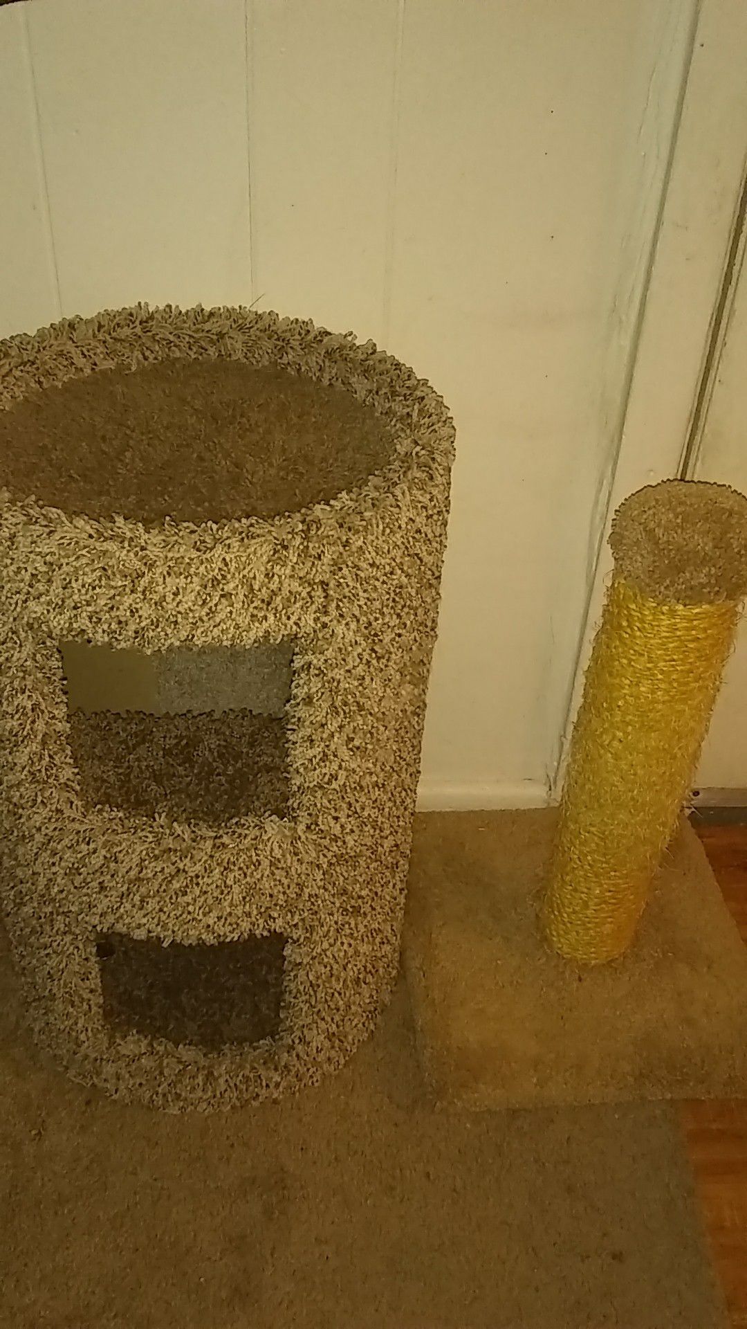 NEW OFFER!!CAT SCRATCH POLE AND CAT TREE