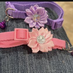 3 - Adorable Cat Collar with Flower Accent and Bell - Perfect for Decorating Your Furry Friend!
