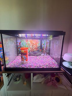 Fish tank