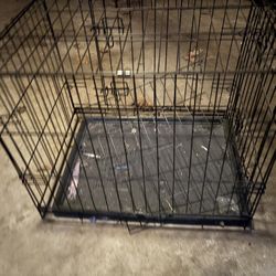 Small Dog Crate– Great Condition!