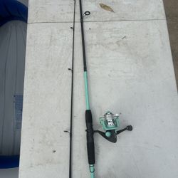 2 Fishing Poles 