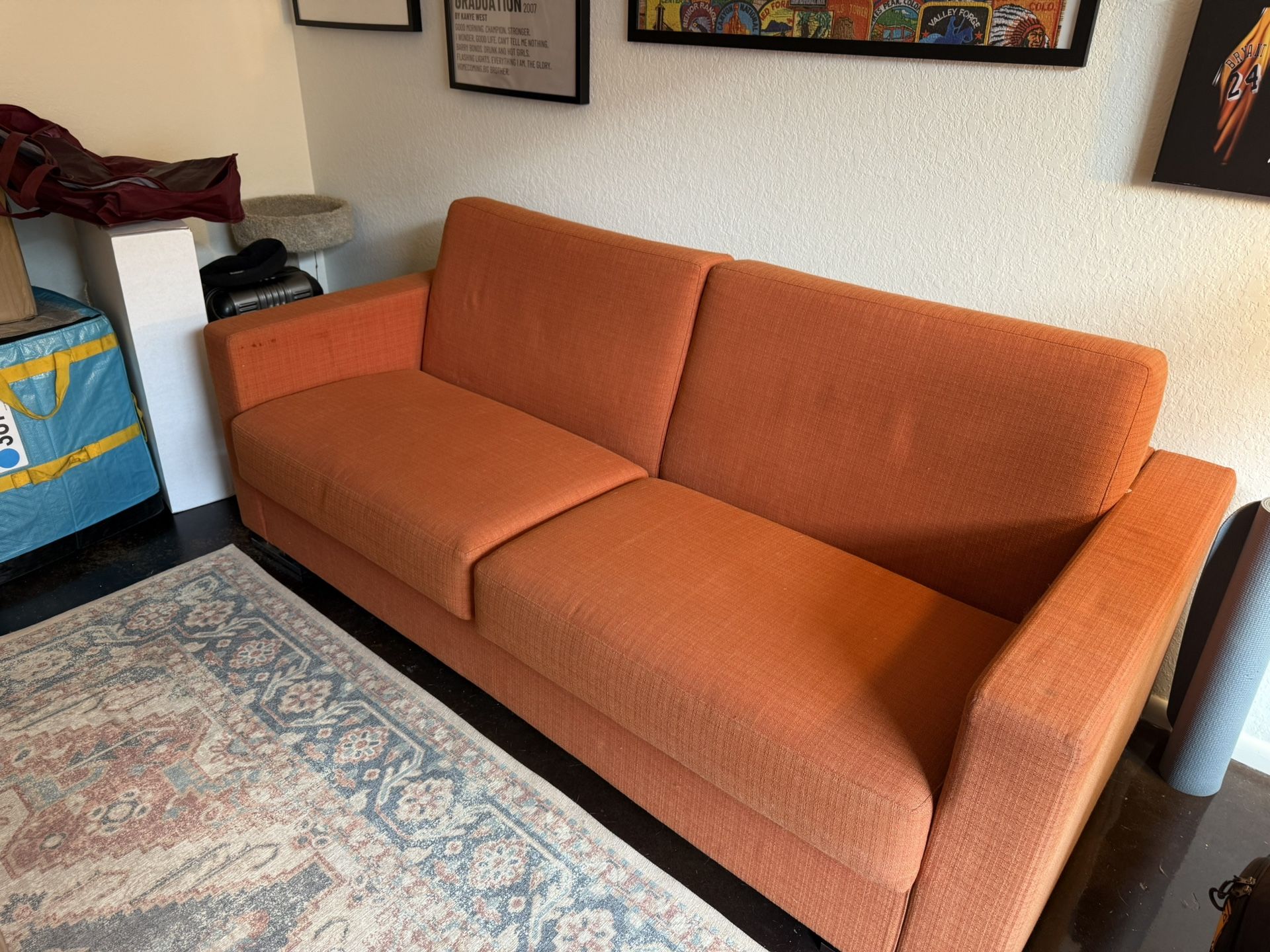 Couch With Pull Out Bed