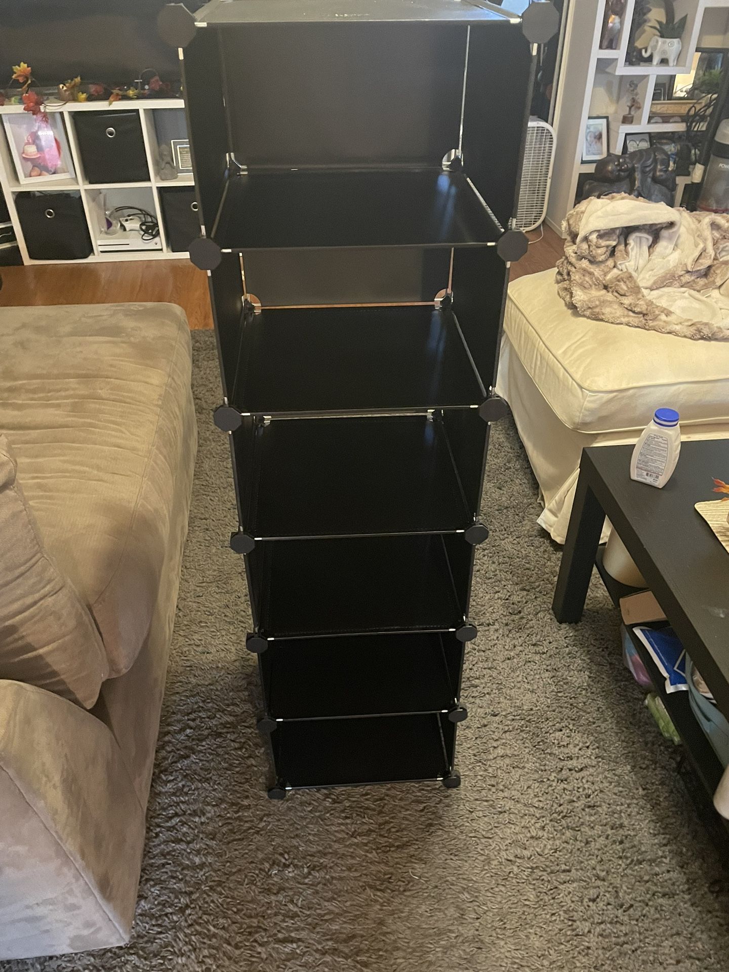 Collapsible 6 Cube Organizer 