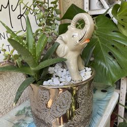 Triolojia  de  la  suerte