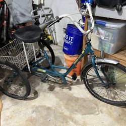 Adult Tricycle 