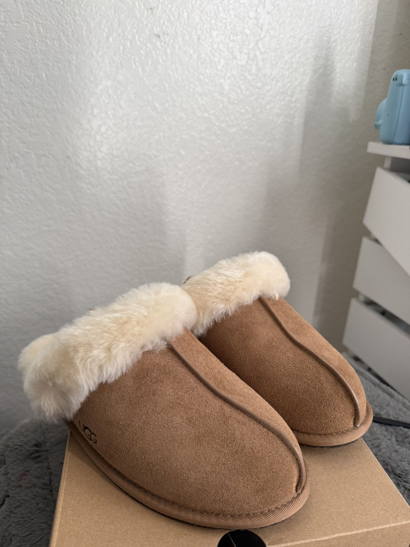 uggs 