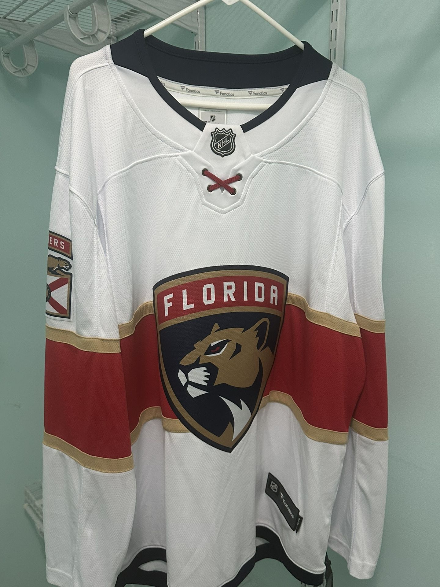 Today Only Special!!! Florida Panthers Stanley Cup Parade