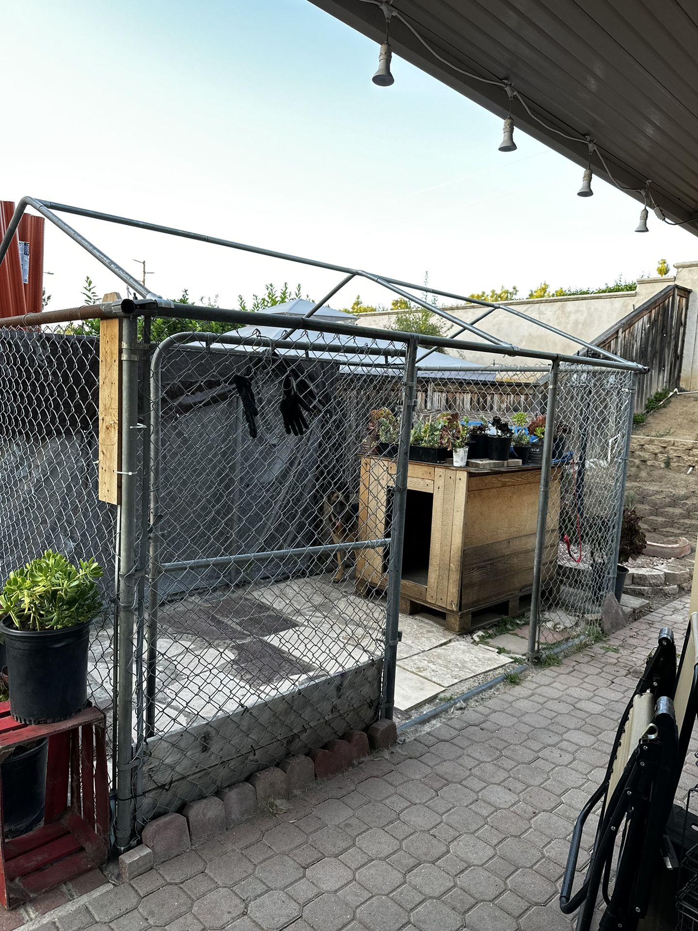 Steel Dog Kennel W/metal Roof.