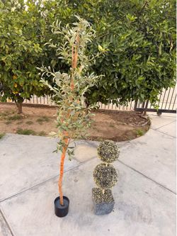 Faux Olive Tree & Topiary Plant Set