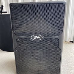 Peavey PVX p12 PA system (single Speaker)