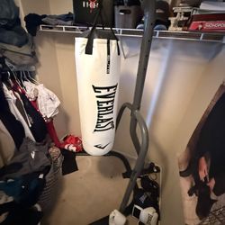 Everlast Punching Bag and Stand
