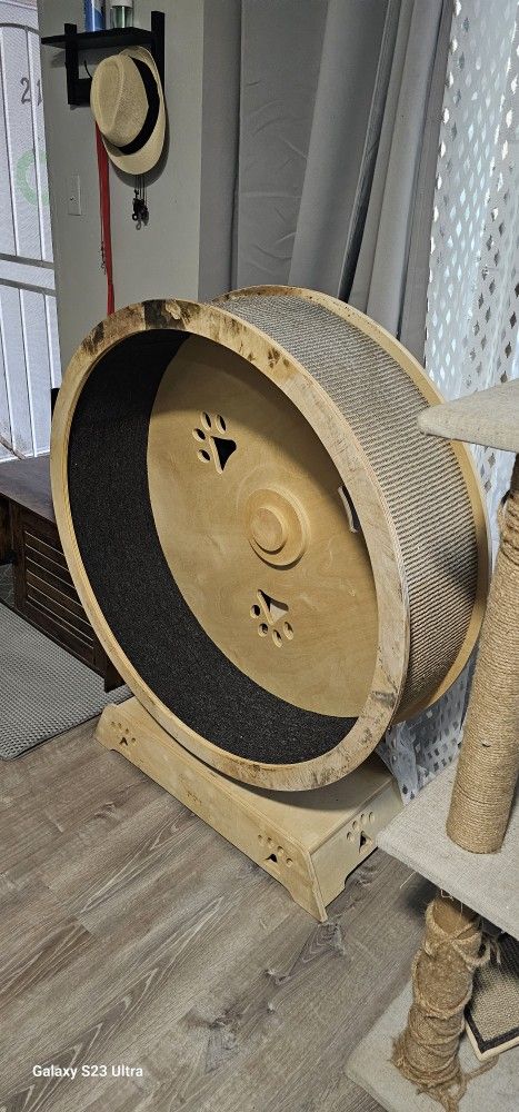 Cat Wheel