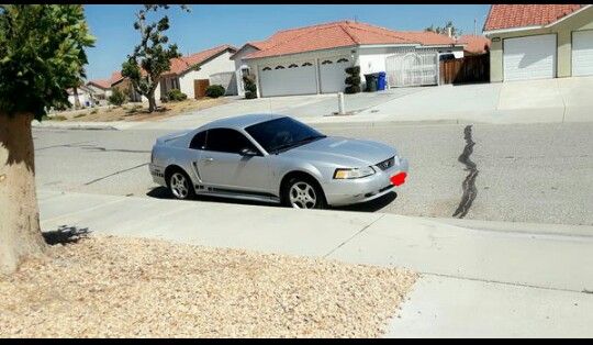 2000 Ford Mustang