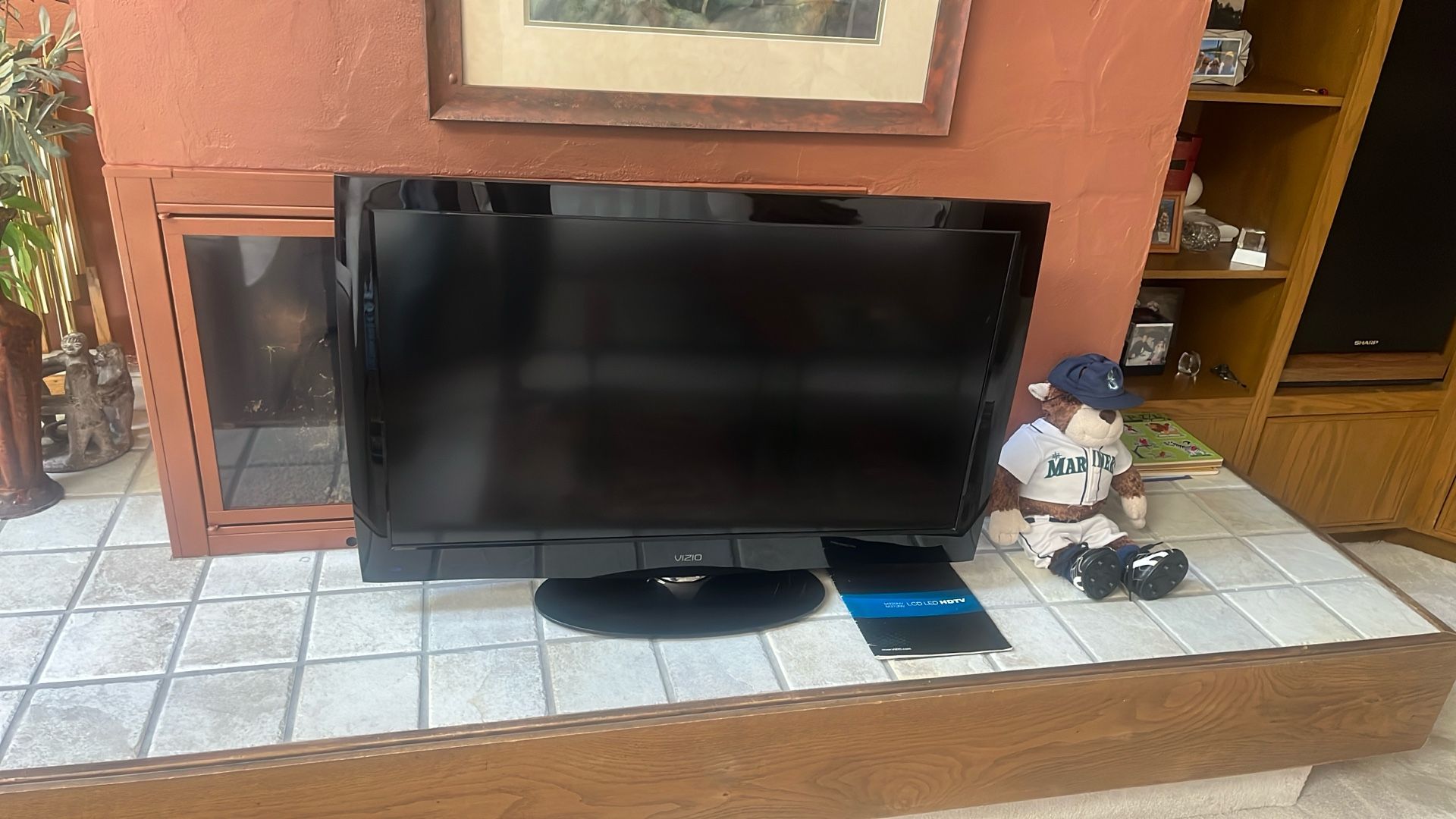 Vizio 37inch TV