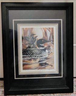 Jody Bergsma “Forever Wild” Signed & Numbered Framed Loon Print