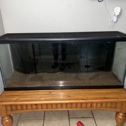 55 Gallon Terrarium With screened Lid