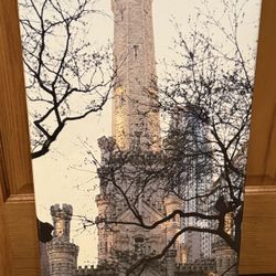 D’Anne Gastorf Weber  Chicago Water Tower 30 X 14  Canvas Wall Art