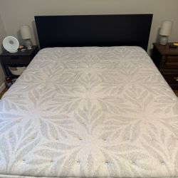 Queen Bed Frame + Mattress 