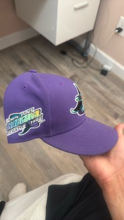 Devil Rays Fitted