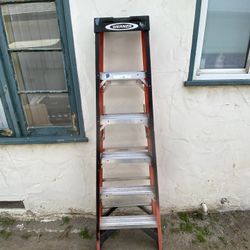 Aluminum Ladder Werner