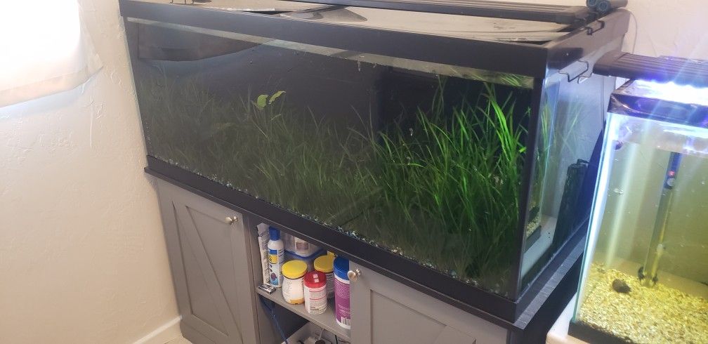75-gal Full Aquarium Set Up
