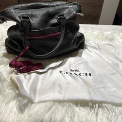 Real Leather Coach Back 