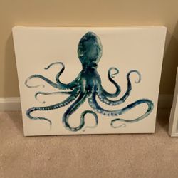 Octopus Canvas Picture 