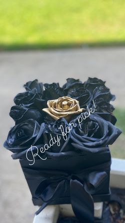 Black roses 🌹,rosas💜🌹