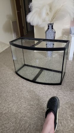 Aquarium 55