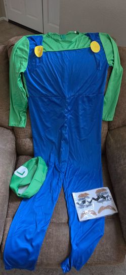 Luigi mens costume