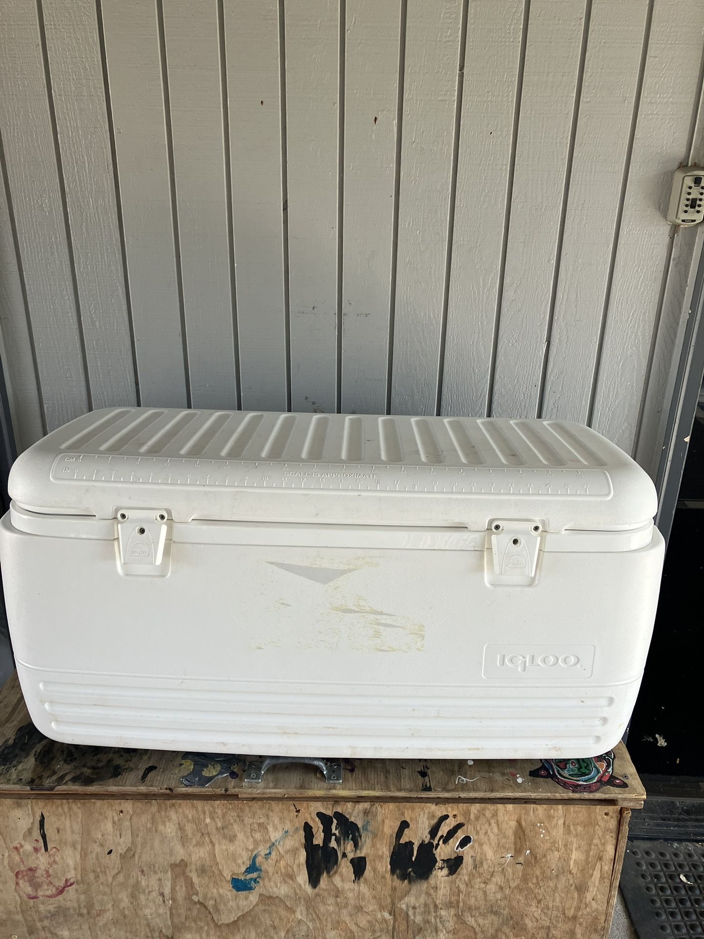 Igloo Cooler