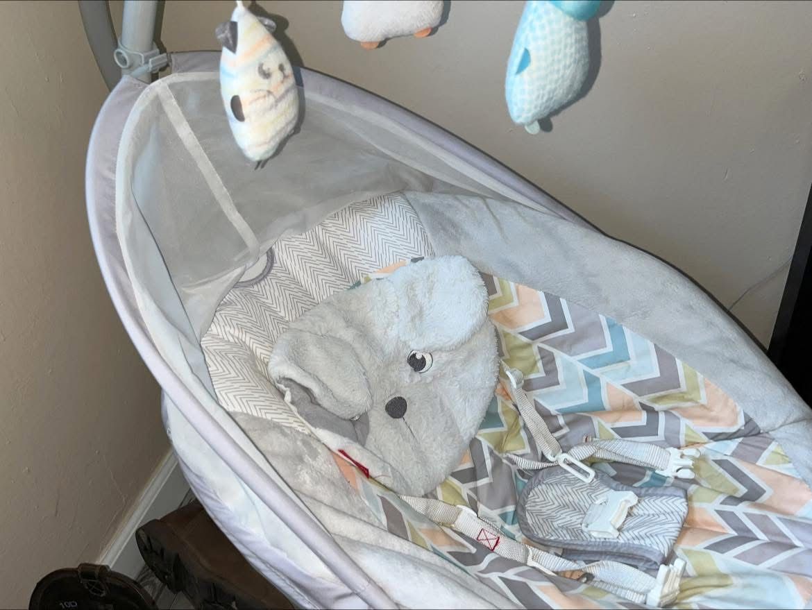 Baby Swing