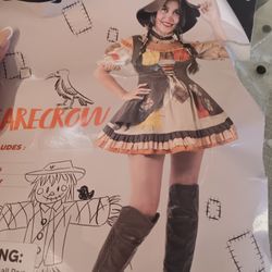Womens Sexy Scarecrow Costume Small