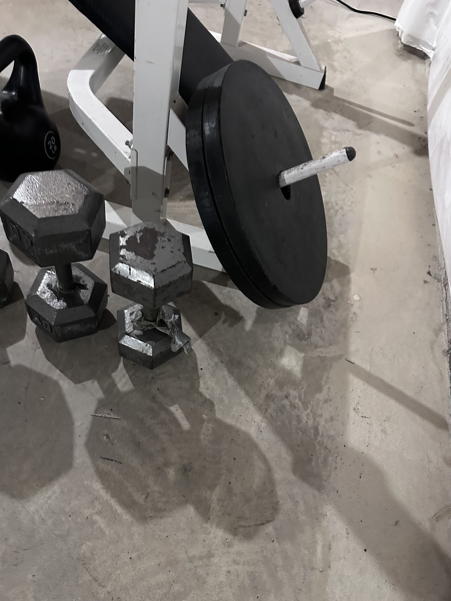 Weight bench With Weights